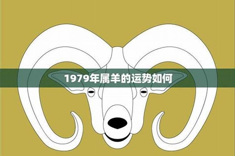2026属羊1979感情运势如何？