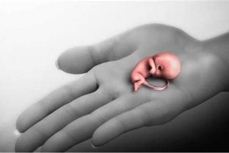 流产的婴儿有灵魂吗？