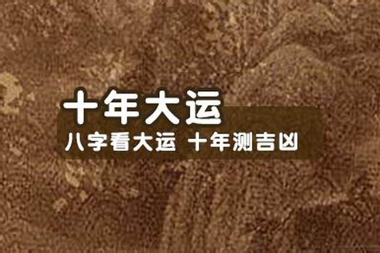 2026龙年出生的人的运程