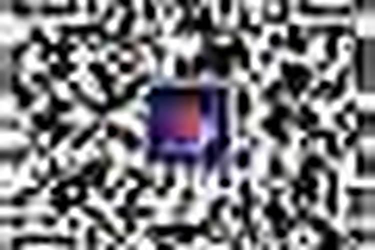 什么样的八字是巳申合？