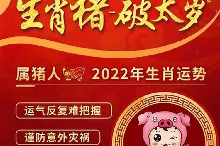 2026年属猪破太岁佩戴什么？