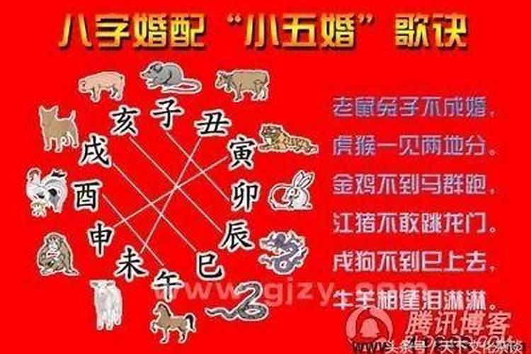 猪兔八字合不合