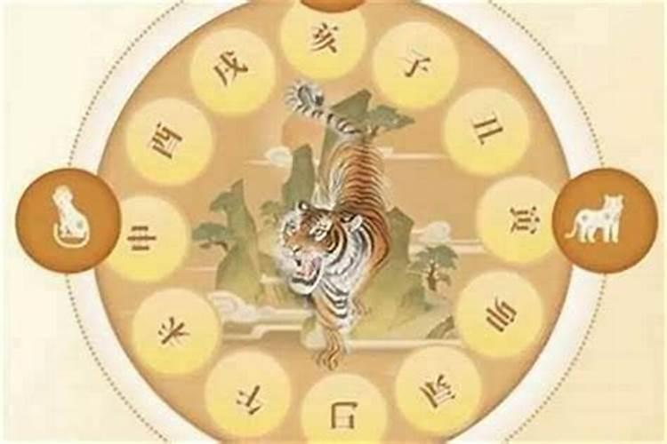 虎年犯太岁不能做的事情