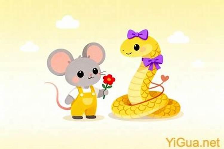 男生属鼠女生属蛇合婚吗？