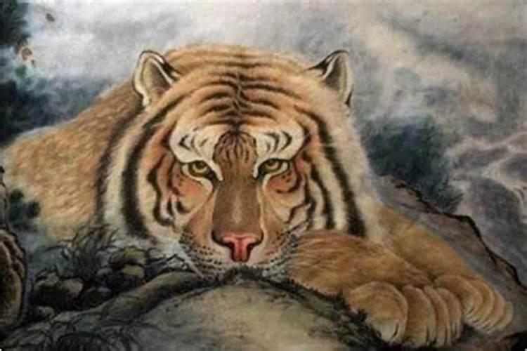 86年男虎2026年运势