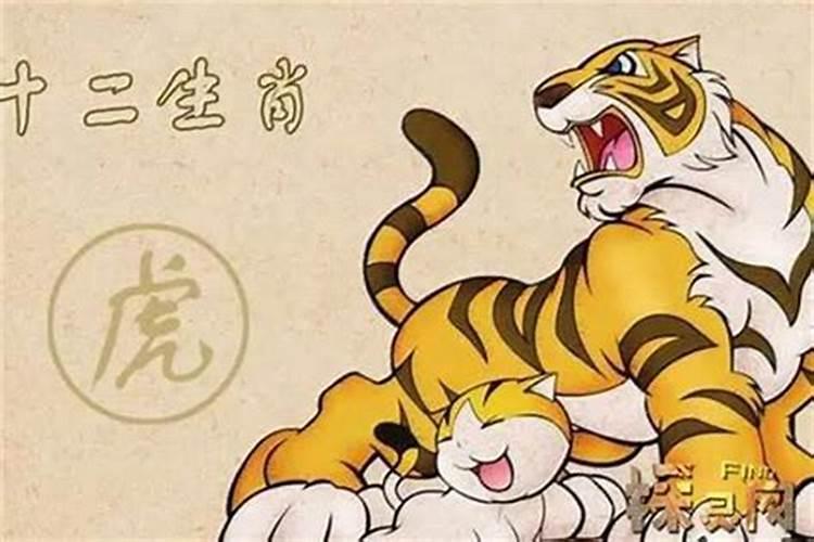 86年虎36岁本命年后怎么庆祝？