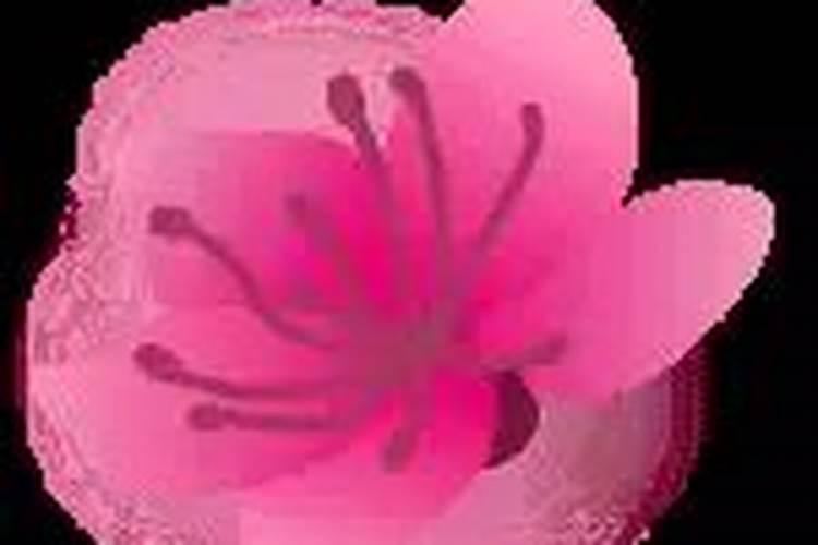 1980年出生的人在2026年运程