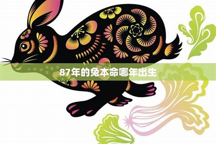 兔本命年的讲究和忌讳