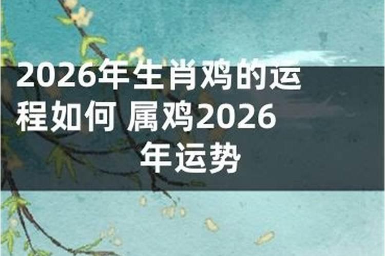 79年生人2026年运势如何？