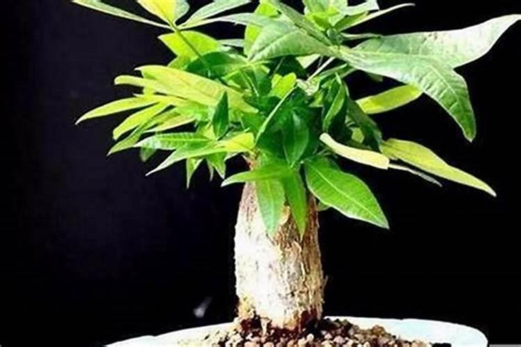 人的财运一到什么也挡不住？