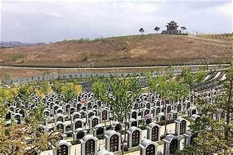 梦见墓地风水不好怎么回事？