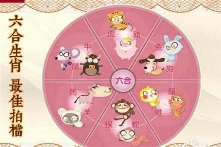 81属鸡一生的运程