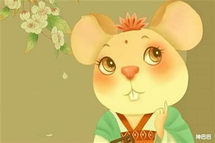 属鼠的月份运程如何破解？