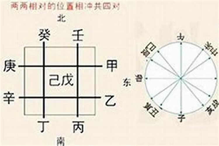 八字天干可以合地支吗？