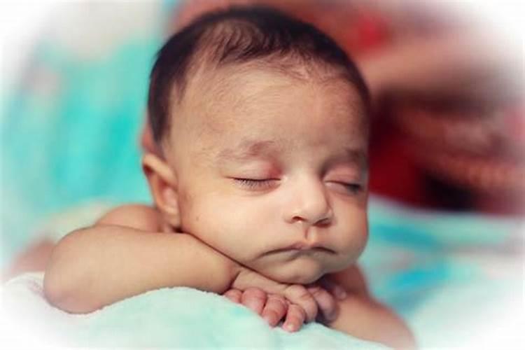 8月出生属马的运势