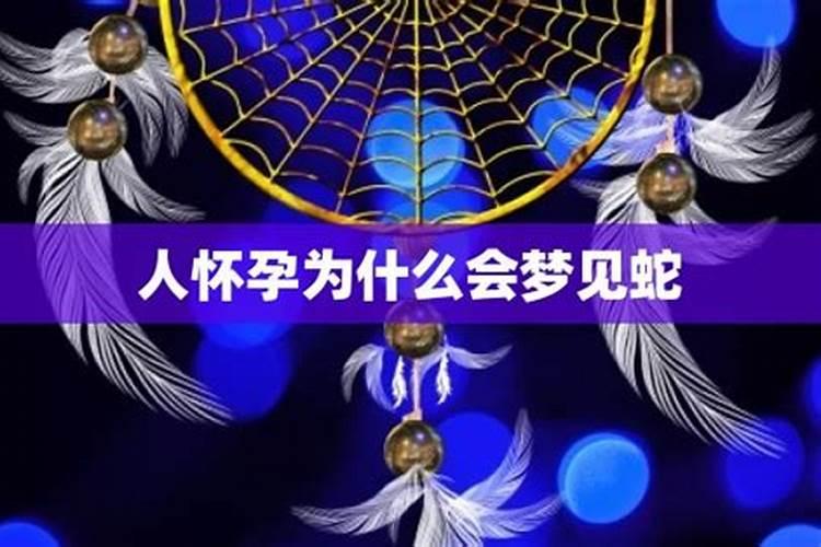 怀孕为什么会梦到蛇？