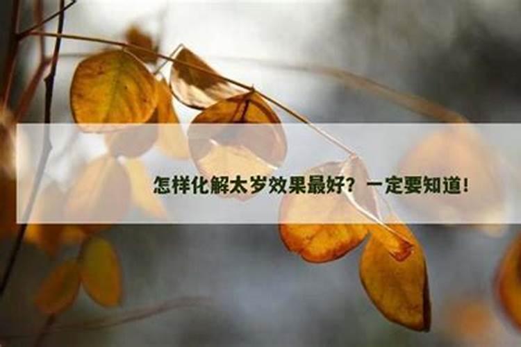 怎样鉴定太岁最好？
