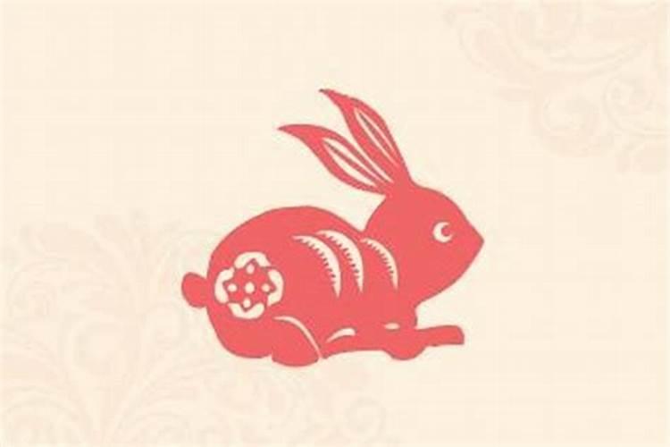 属兔的女性运程怎样？