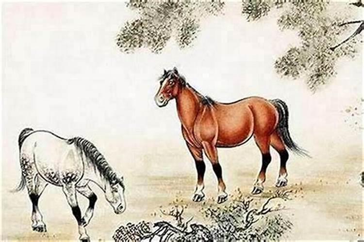 属马的男生与什么属相婚配？