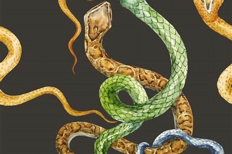 蛇年鬼节出生的人