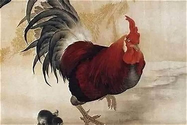 属鸡的10月份运程如何？