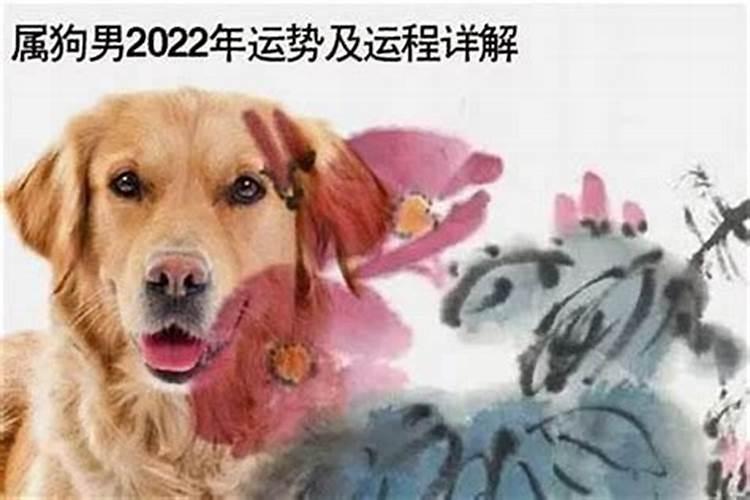 女属狗2026年运势运程