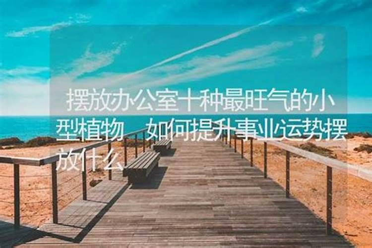 如何提升事业运势摆放什么？