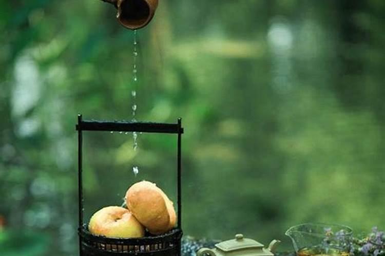 猪狗鼠2026年运势