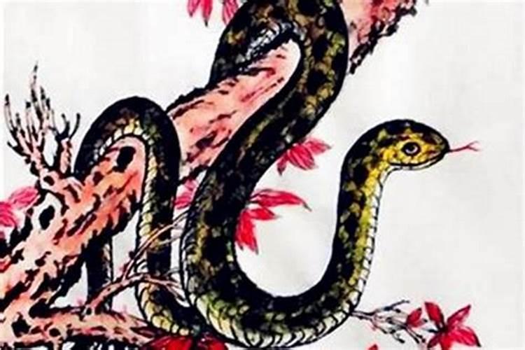 1965年的蛇2026年运势