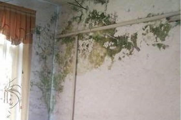 梦到下雨天房屋漏雨