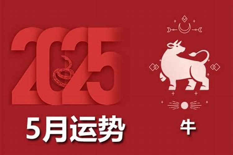 属牛2026年运势详解