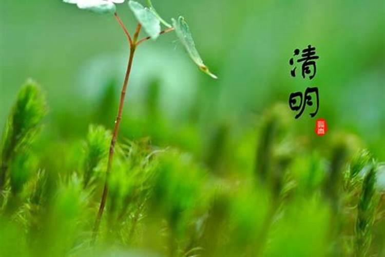 清明节阴历是几月初几？
