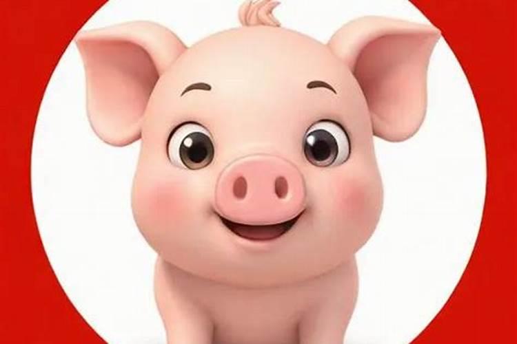 猪年对属什么运势好？