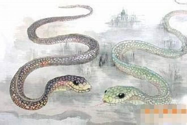 生肖蛇十月初一出生好吗？