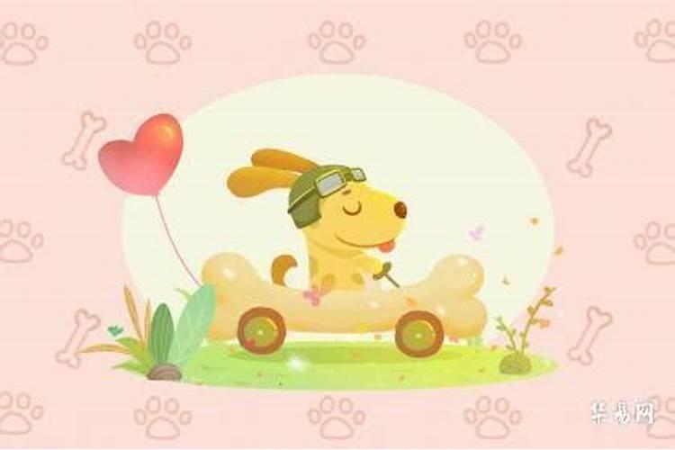 属狗人与哪些相属合婚？