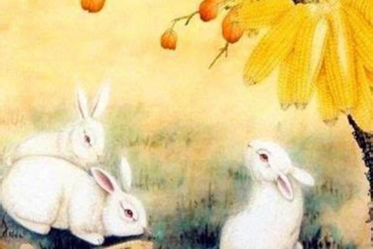 男兔女鸡八字合不合