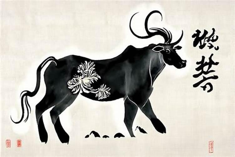 2026年85年属牛人的运势如何？