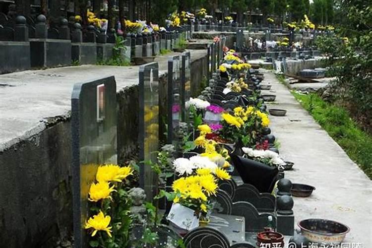 哪里有冬至扫墓的习俗？