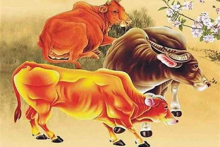 属牛的今年三月的运势