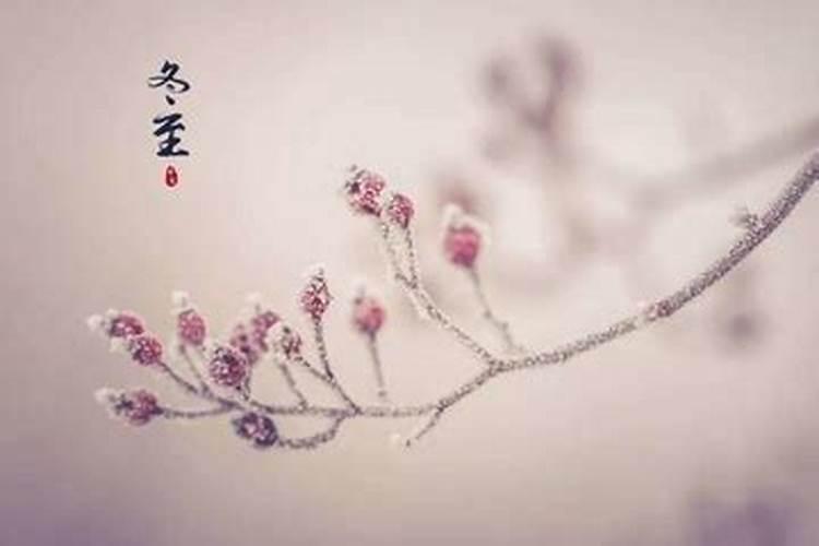 冬至祭奠父母烧纸的程序