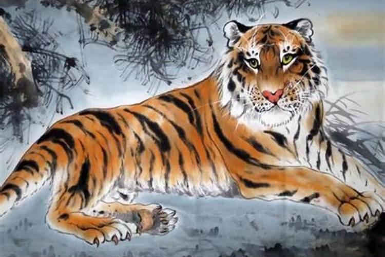 虎年的本命年好不好？