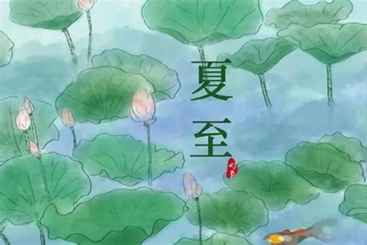 夏至有什么要注意的？