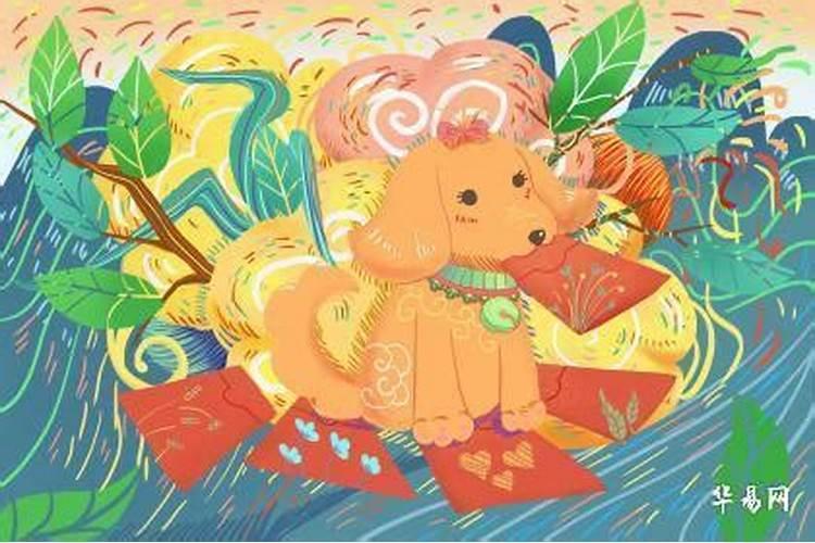 2026年生肖狗运势怎么样？