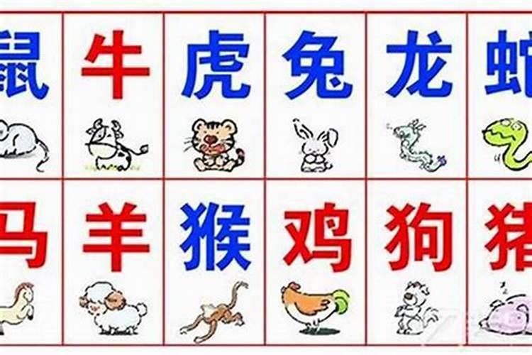 属相一样生辰八字不合的怎么办？