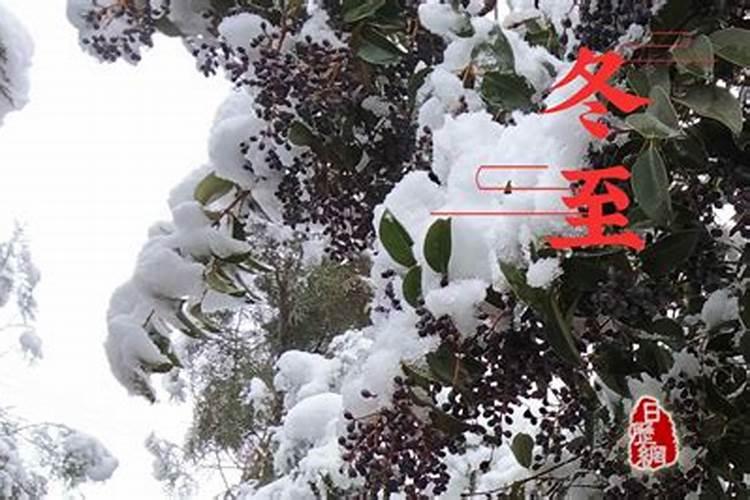 今年冬至农历什么时候？