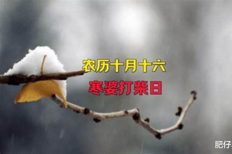 农历十月初一晴有啥说法？