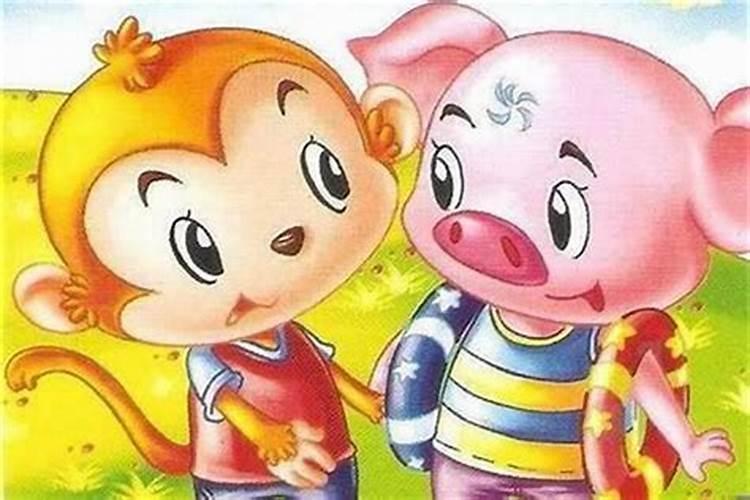 属猴的跟属猪的八字合吗？