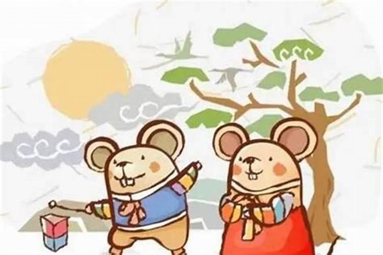 鼠属相婚配可以吗？