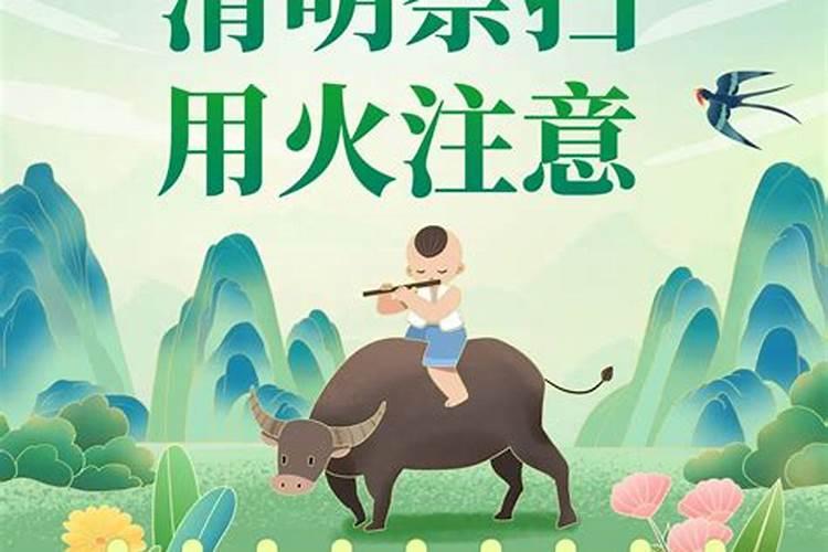 清明节挂清注意事项