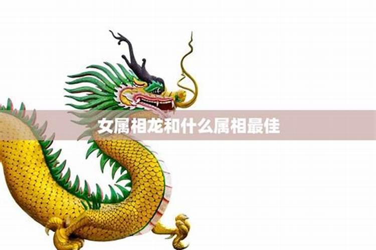 女龙婚配什么属相好？